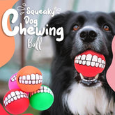 🐾🔔Piepende Hondenkauwbal ✨ Duurzaam & Tandreinigend 🎾💥