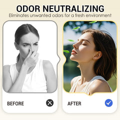 🌸 Sneeuwbol-warmte voor de ziel! 🌸 🔥 2026 Collectie: 50% Korting - perfect voor stressvrije avonden thuis! 🏡✨