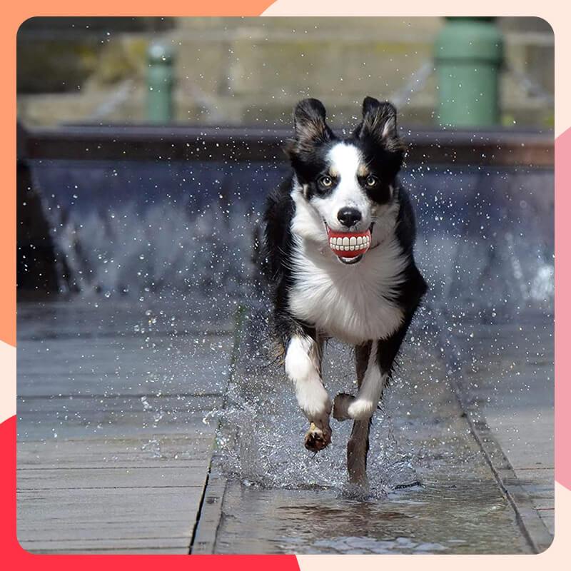 🐾🔔Piepende Hondenkauwbal ✨ Duurzaam & Tandreinigend 🎾💥