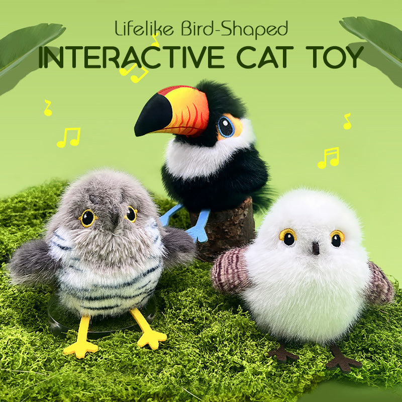 💖🎁🔥Interactief katten speelgoed – geef je huisdier een dag vol avontuur en plezier!