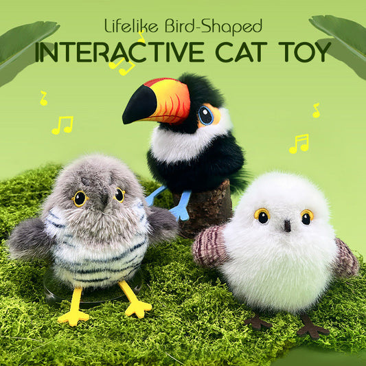💖🎁🔥Interactief katten speelgoed – geef je huisdier een dag vol avontuur en plezier!