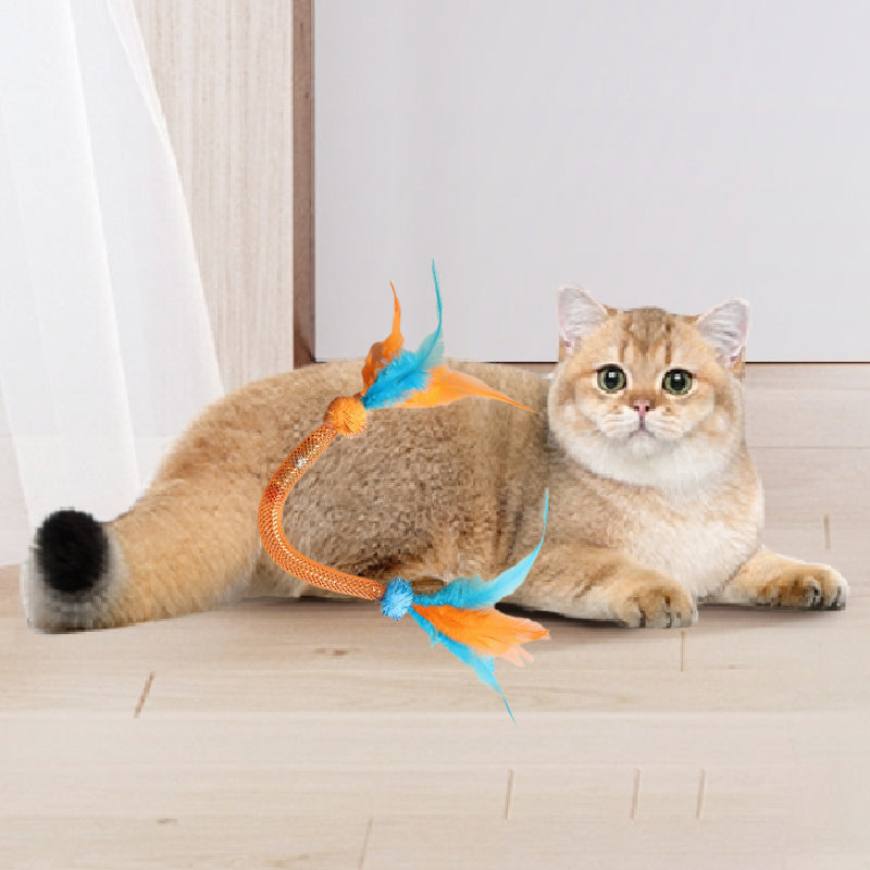 💥Populaire 😻Kattenspeeltje met kattenkruid en veertje