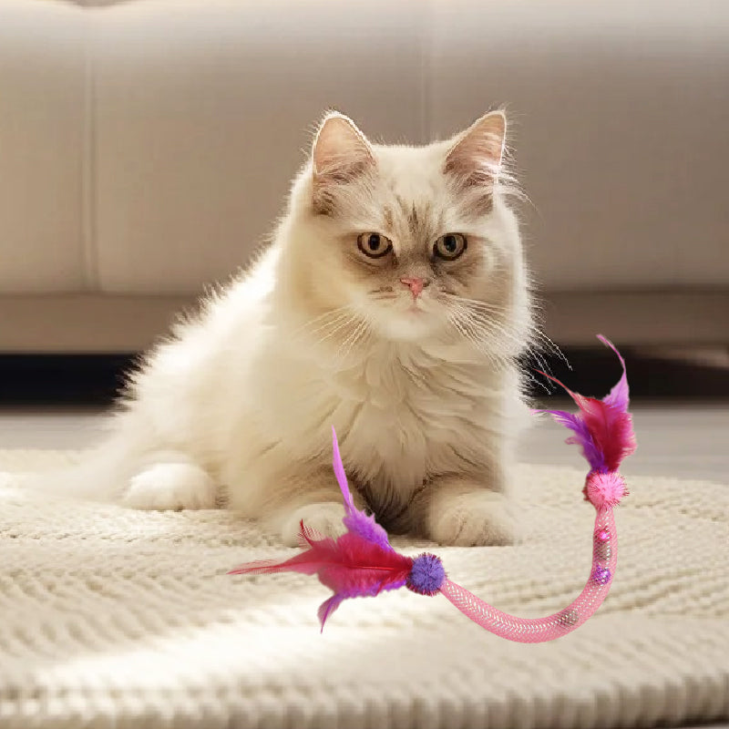 💥Populaire 😻Kattenspeeltje met kattenkruid en veertje
