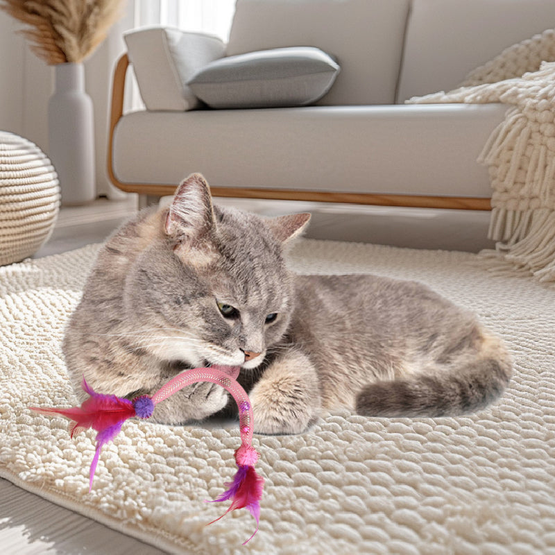 💥Populaire 😻Kattenspeeltje met kattenkruid en veertje