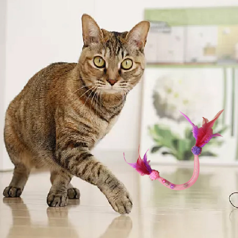 💥Populaire 😻Kattenspeeltje met kattenkruid en veertje