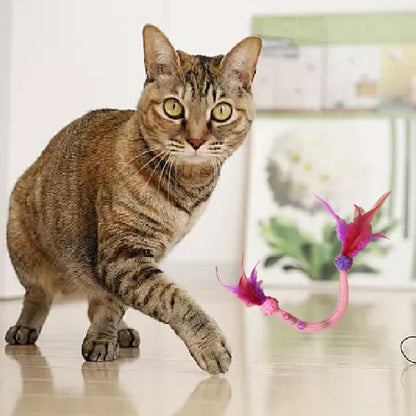 💥Populaire 😻Kattenspeeltje met kattenkruid en veertje