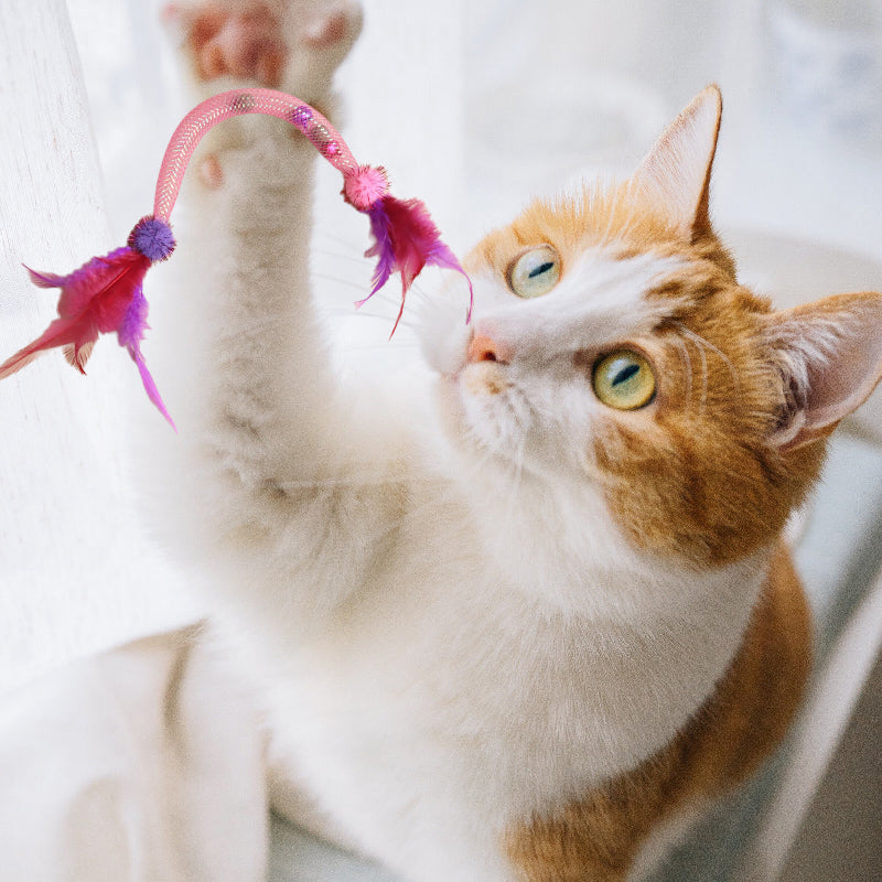 💥Populaire 😻Kattenspeeltje met kattenkruid en veertje