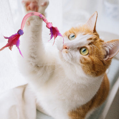 💥Populaire 😻Kattenspeeltje met kattenkruid en veertje