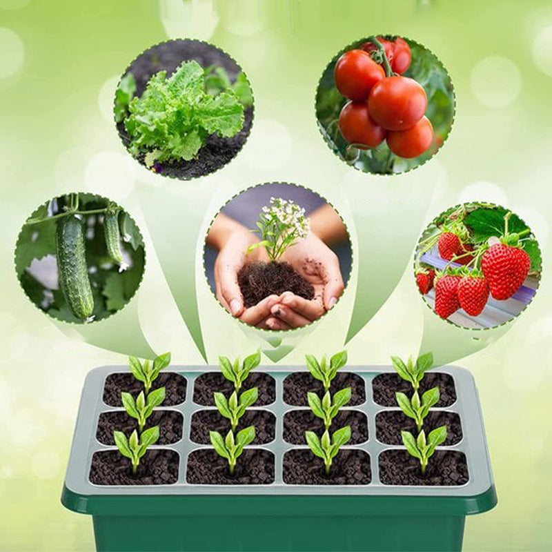 💎60% KORTING! 💎 Kweekbakken met groeilamp – Vochtregulatie, transparant en volspectrum licht 🌱💡