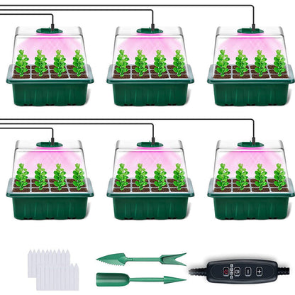 💎60% KORTING! 💎 Kweekbakken met groeilamp – Vochtregulatie, transparant en volspectrum licht 🌱💡