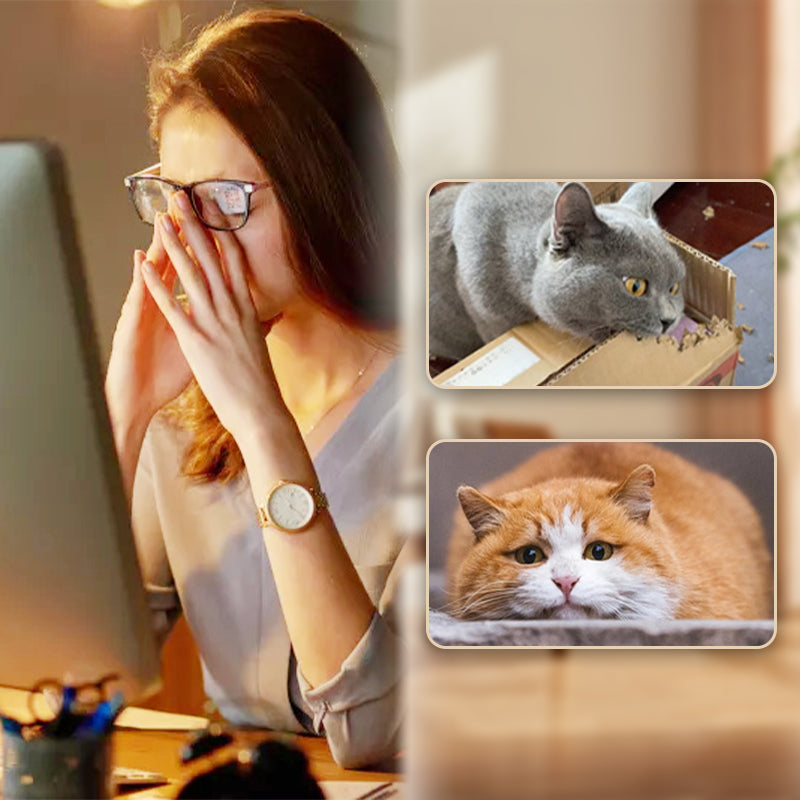 🐈🎉Koop 1, krijg 1 GRATIS! Interactieve kat stuiterbal met veer – perfect voor speelse avonturen met je favoriete knuffelkat!