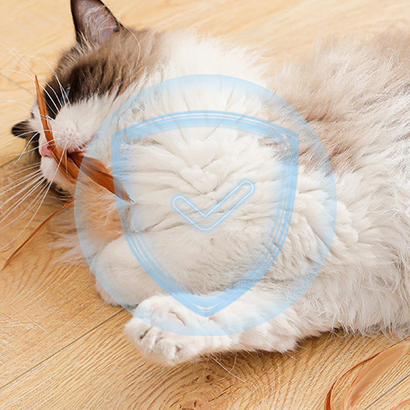 🐈🎉Koop 1, krijg 1 GRATIS! Interactieve kat stuiterbal met veer – perfect voor speelse avonturen met je favoriete knuffelkat!