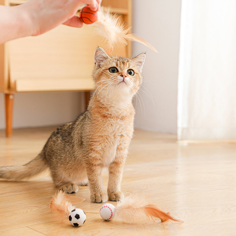 🐈🎉Koop 1, krijg 1 GRATIS! Interactieve kat stuiterbal met veer – perfect voor speelse avonturen met je favoriete knuffelkat!