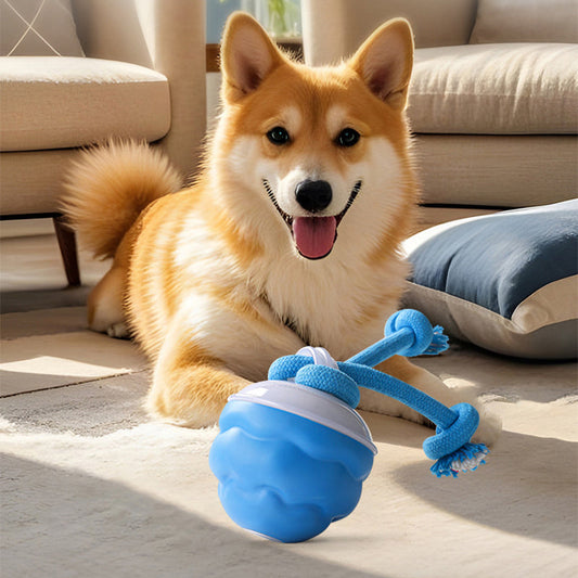 🐾 Hot Sale 50% Korting! Interactieve Elektronische Kalmerende Bal voor Huisdieren – 3 Modus, Automatisch Obstakelvermijding & Tandenzorg! 🐶💡