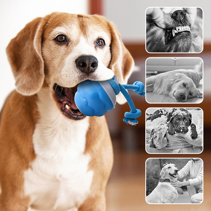 🐾 Hot Sale 50% Korting! Interactieve Elektronische Kalmerende Bal voor Huisdieren – 3 Modus, Automatisch Obstakelvermijding & Tandenzorg! 🐶💡