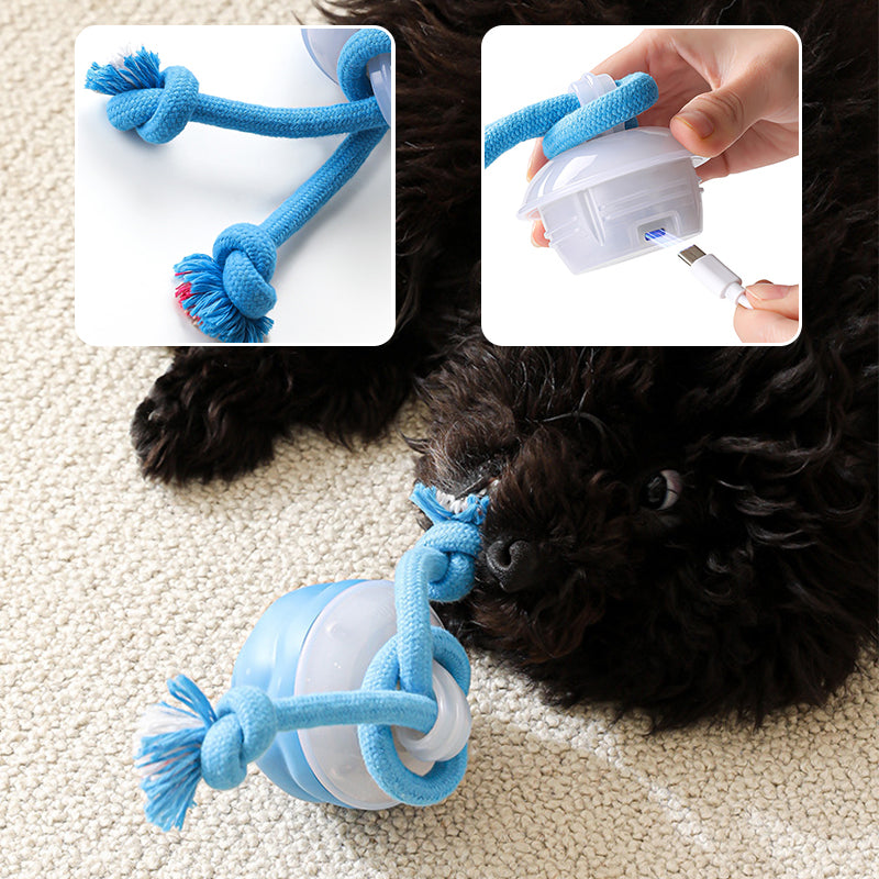🐾 Hot Sale 50% Korting! Interactieve Elektronische Kalmerende Bal voor Huisdieren – 3 Modus, Automatisch Obstakelvermijding & Tandenzorg! 🐶💡