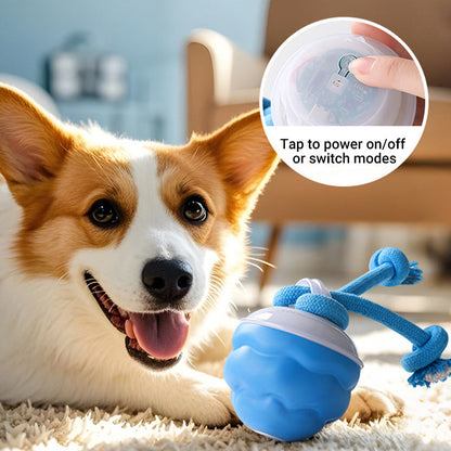 🐾 Hot Sale 50% Korting! Interactieve Elektronische Kalmerende Bal voor Huisdieren – 3 Modus, Automatisch Obstakelvermijding & Tandenzorg! 🐶💡