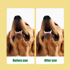 Effectieve tandenreinigingsspray voor katten en honden